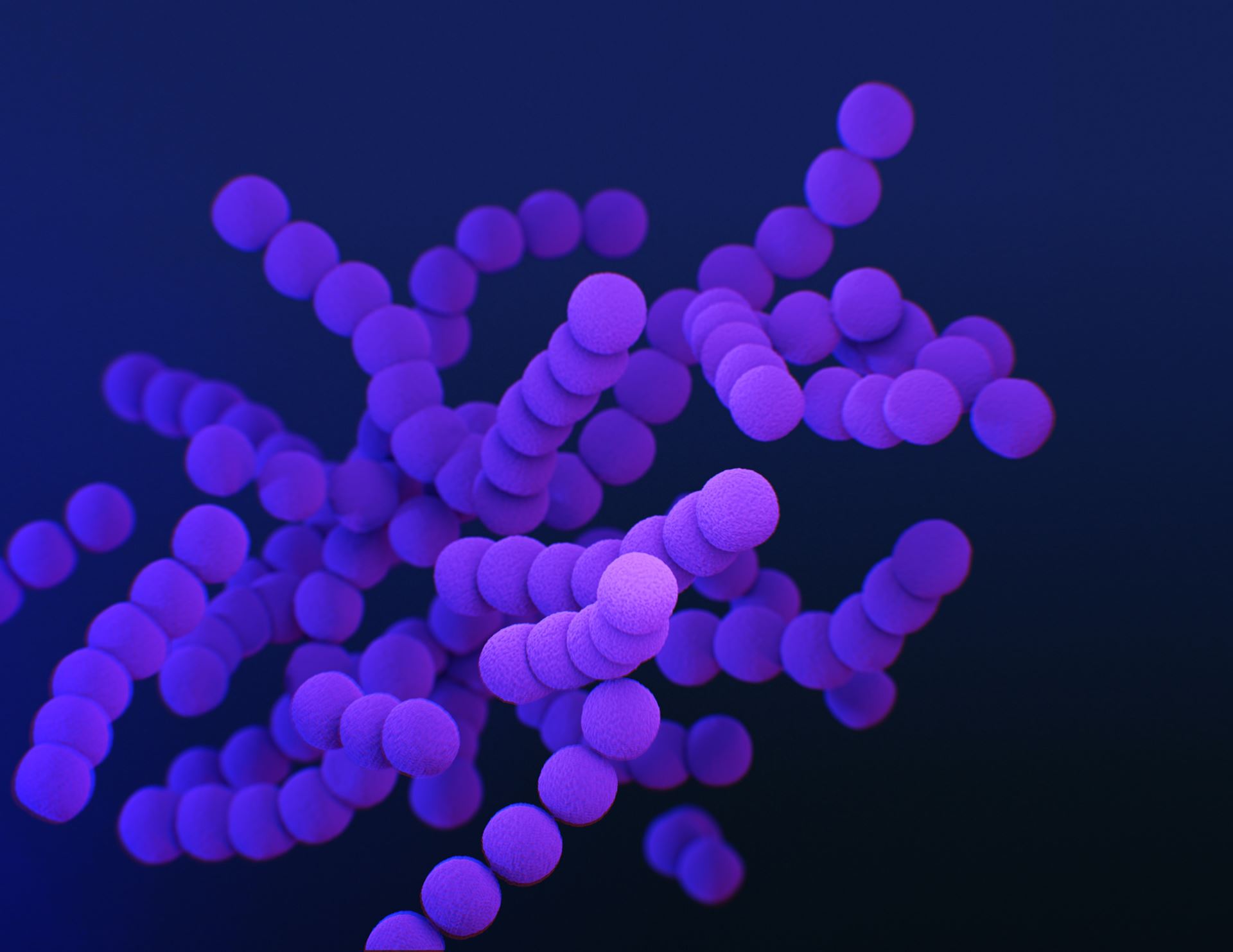 Bacteria